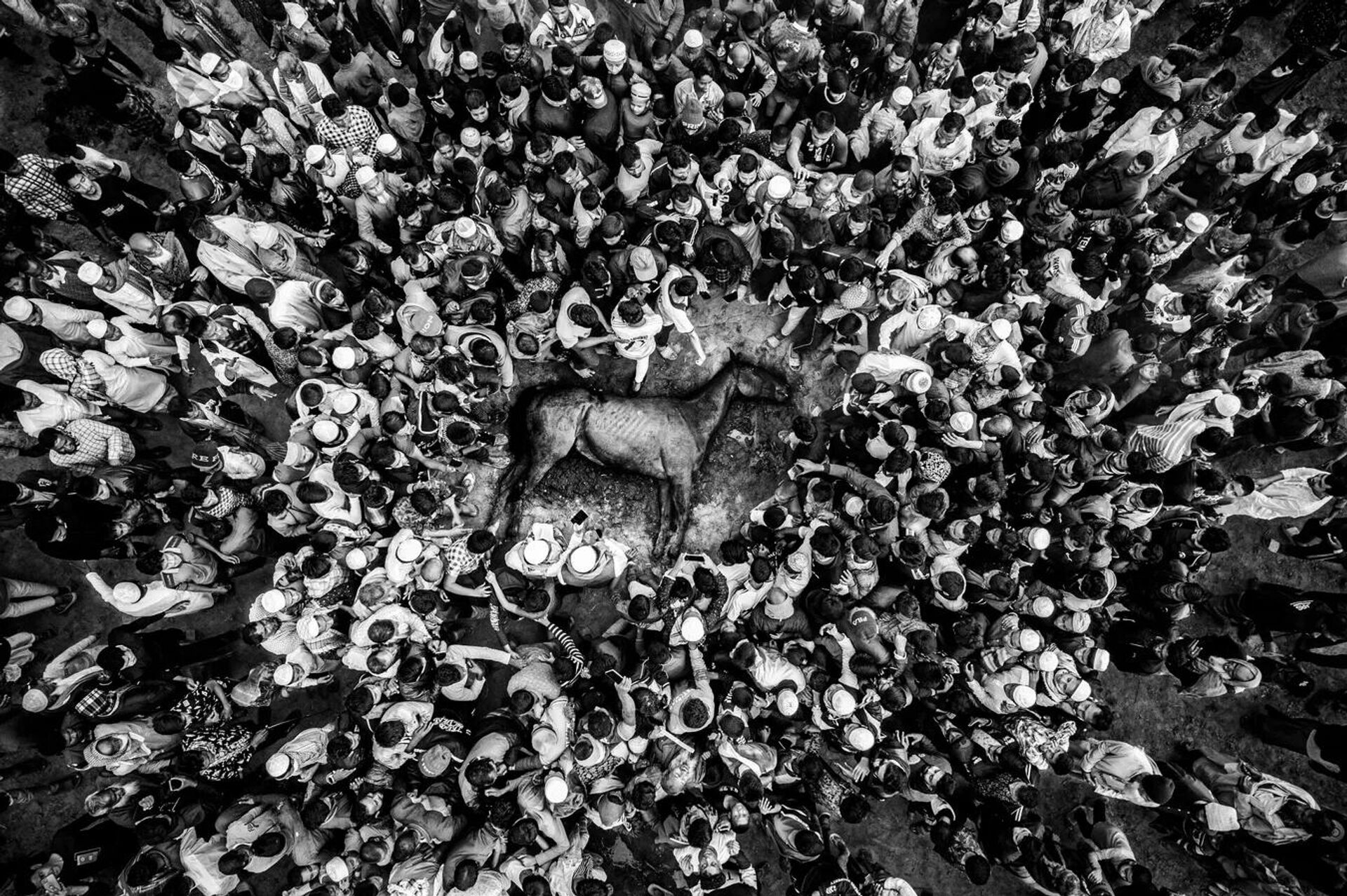 الركضة الأخيرة.. سقوط البطل - سبوتنيك عربي, 1920, 17.11.2025