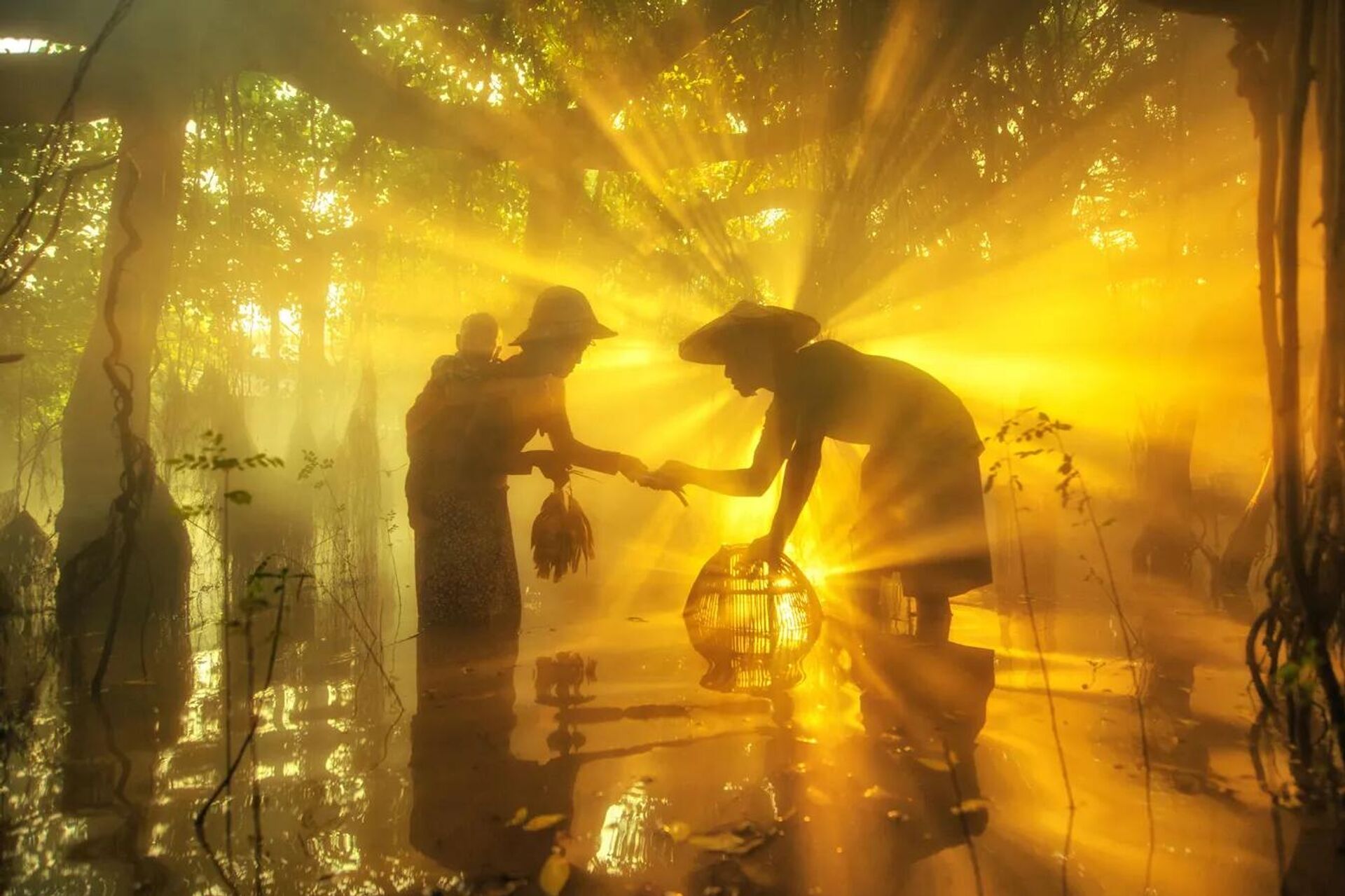 عائلة صياد - سبوتنيك عربي, 1920, 17.11.2025