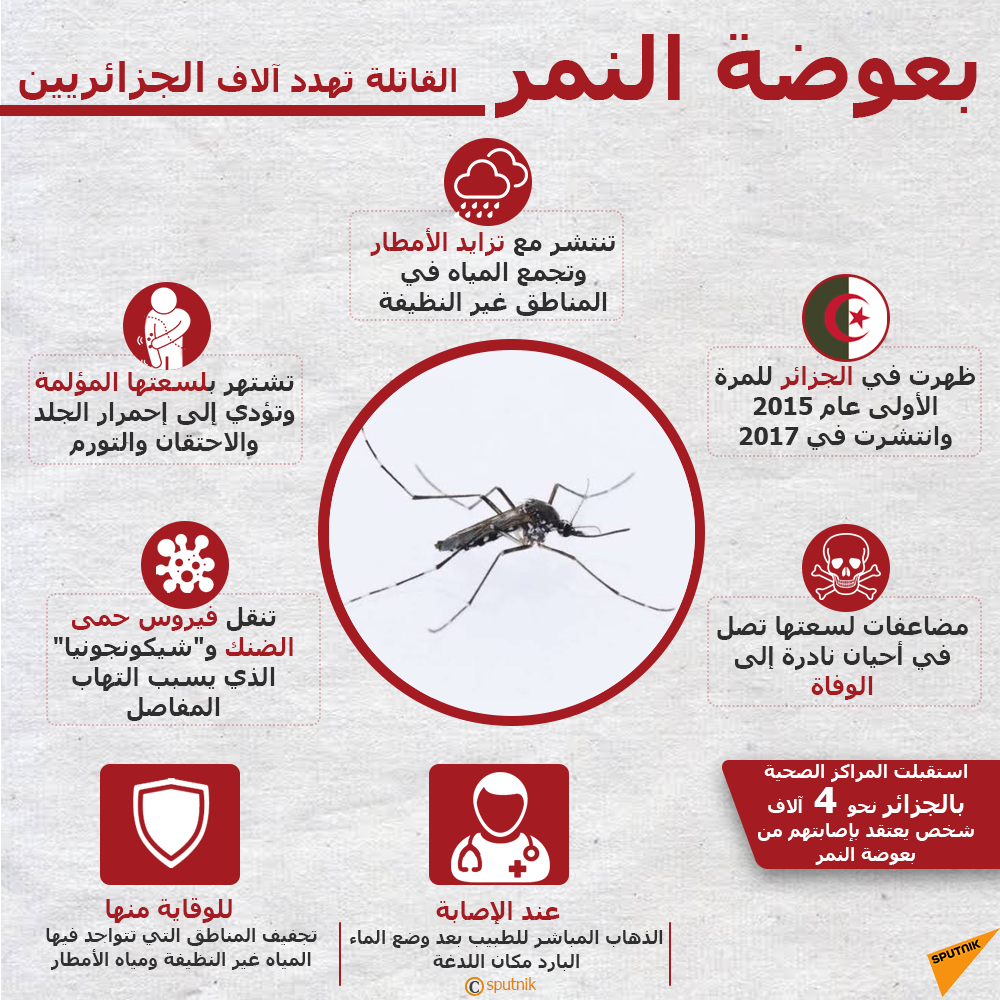 بعوضة النمر - البعوضة القاتلة تهدد آلاف الجزائريين وتحذيرات من انتشارها - سبوتنيك عربي