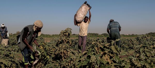 أزمة المياه في السودان، سد النهضة الإثيوبي، فبراير 2020 - سبوتنيك عربي