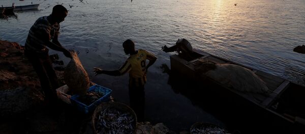 أزمة المياه في السودان، سد النهضة الإثيوبي، فبراير 2020 - سبوتنيك عربي