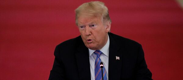 الرئيس الأمريكي دونالد ترامب - سبوتنيك عربي