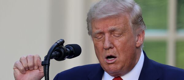 ترامب يعلن انتهاء المعاملة التفضيلية الأمريكية لهونغ كونغ - سبوتنيك عربي