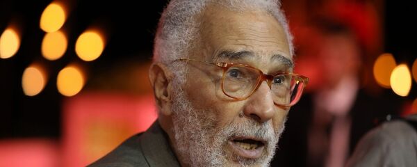 الفنان المصري عبد الرحمن أبو زهرة - سبوتنيك عربي