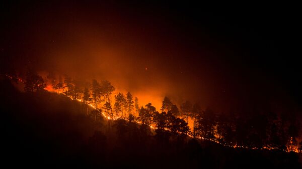 صورة أرشيفية.. اشتعال الحرائق في غابات سيبيريا، إقليم كراسنويارسك، روسيا 17 يوليو 2020 - سبوتنيك عربي