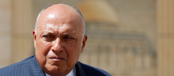  وزير الخارجية المصري سامح شكري في رام الله، الضفة الغربية 20 يوليو 2020 - سبوتنيك عربي