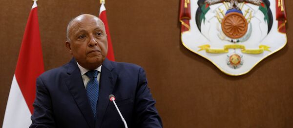  وزير الخارجية المصري سامح شكري في عمان، الأردن 19 يوليو 2020 - سبوتنيك عربي