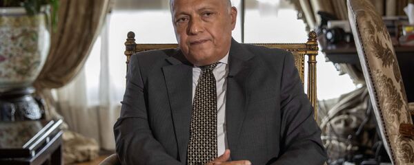 وزير الخارجية المصري سامح شكري وزير الخارجية المصري سامح شكري - سبوتنيك عربي