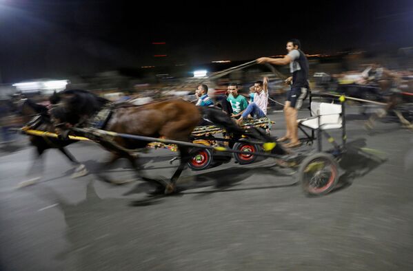 سباق الكارو في القاهرة، مصر 17 يوليو 2020 - سبوتنيك عربي