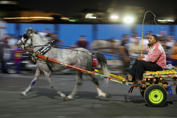 سباق الكارو في القاهرة، مصر 17 يوليو 2020 - سبوتنيك عربي