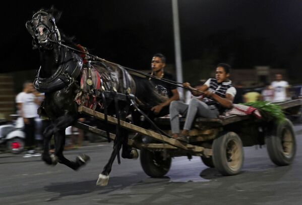 سباق الكارو في القاهرة، مصر 17 يوليو 2020 - سبوتنيك عربي