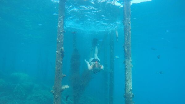 الغوص تحت الماء - سبوتنيك عربي