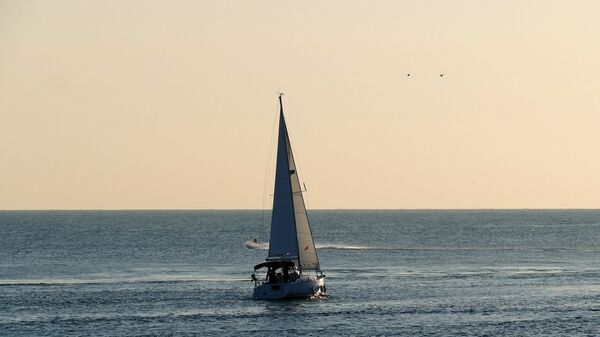 سفينة - سبوتنيك عربي