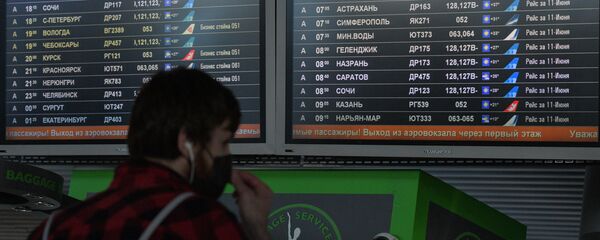 مطار فنوكوفو في موسكو - سبوتنيك عربي