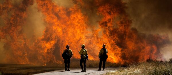 اشتعال حرائق الغابات في كاليفورنيا، الولايات المتحدة 2 أغسطس 2020 - سبوتنيك عربي