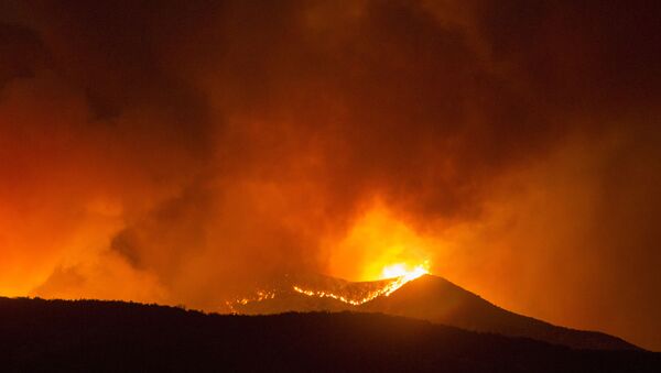 اشتعال حرائق الغابات في كاليفورنيا، الولايات المتحدة 2 أغسطس 2020 - سبوتنيك عربي