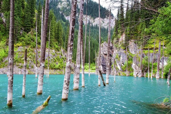 بحيرة كايندي في مضيق كونغي أباتاو، كازاخستان - سبوتنيك عربي