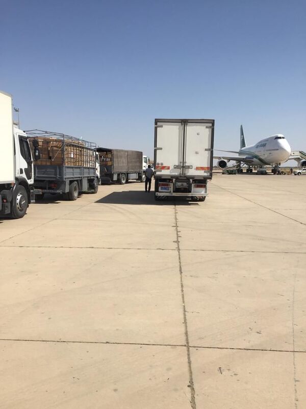 جراحون عراقيون يصلون إلى بيروت لتقديم الدعم... صور - سبوتنيك عربي