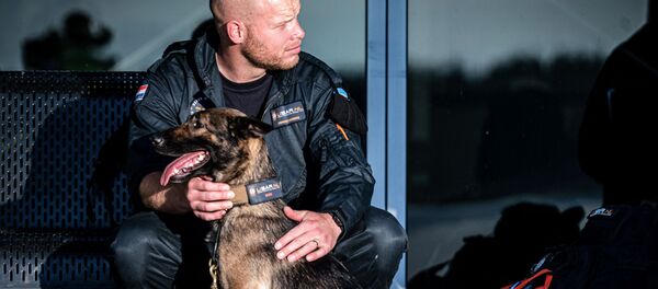 انفجار مرفأ بيروت، لبنان أغسطس/ آب 2020 - سبوتنيك عربي