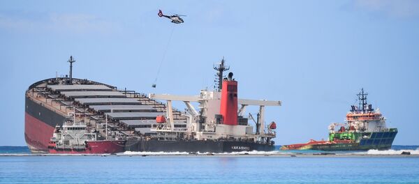 سفينة شحن يابانية بالقرب من جزيرة موريشيوس - سبوتنيك عربي