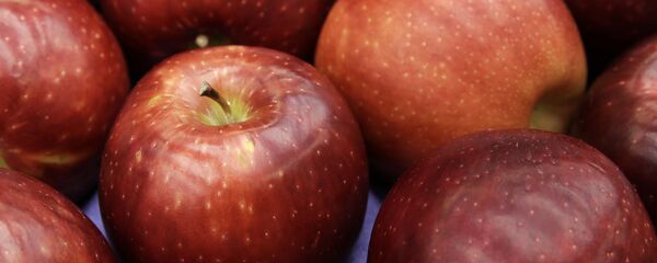 تفاح - سبوتنيك عربي