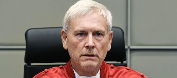 القاضي ديفيد راي في لاهاي - سبوتنيك عربي