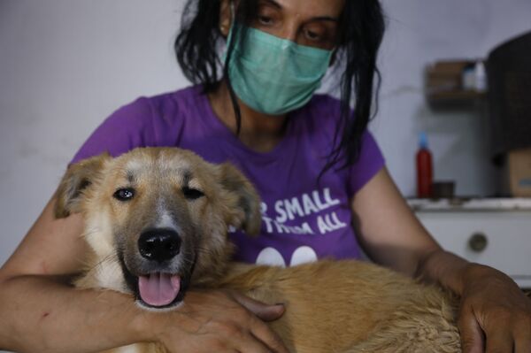 ميغالو وكروكوداي... ضحايا هامشيون لتفجير خط الغاز العربي شمالي دمشق... فيديو وصور ميغالو وكروكوداي... ضحايا هامشيون لتفجير خط الغاز العربي شمالي دمشق... فيديو وصور - سبوتنيك عربي