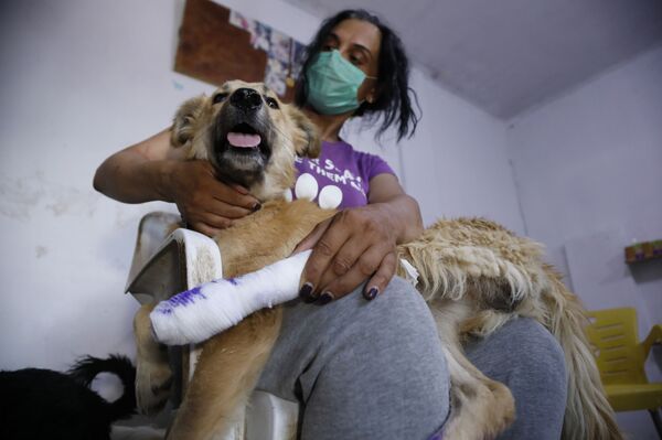 ميغالو وكروكوداي... ضحايا هامشيون لتفجير خط الغاز العربي شمالي دمشق... فيديو وصور ميغالو وكروكوداي... ضحايا هامشيون لتفجير خط الغاز العربي شمالي دمشق... فيديو وصور - سبوتنيك عربي