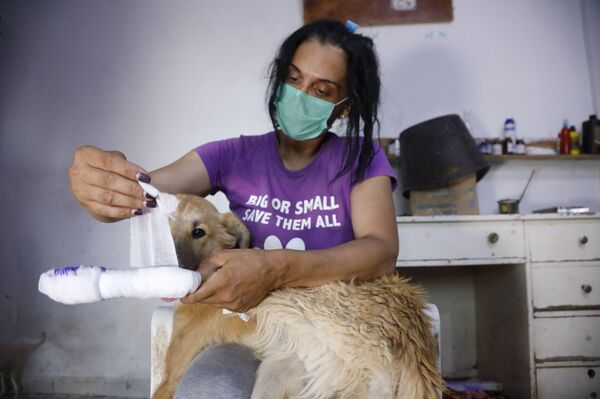 ميغالو وكروكوداي... ضحايا هامشيون لتفجير خط الغاز العربي شمالي دمشق... فيديو وصور ميغالو وكروكوداي... ضحايا هامشيون لتفجير خط الغاز العربي شمالي دمشق... فيديو وصور - سبوتنيك عربي