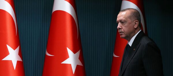 الرئيس التركي رجب طيب أردوغان الرئيس التركي رجب طيب أردوغان - سبوتنيك عربي