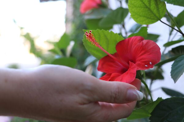 منى تطوي ذكريات شارع الموت في حلب وتحوله إلى حديقة... فيديو وصور - سبوتنيك عربي