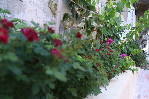 منى تطوي ذكريات شارع الموت في حلب وتحوله إلى حديقة... فيديو وصور - سبوتنيك عربي