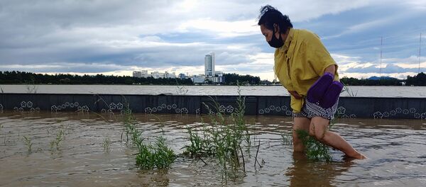 آثار إعصار مايساك في مدينة غانغننغ، كوريا الجنوبية 3 سبمتبر 2020 - سبوتنيك عربي