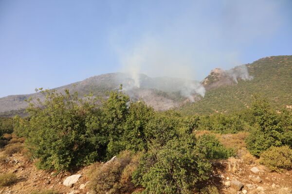 الحرائق تجتاح غابات سوريا وسهولها الزراعية.. ومخاوف من كارثة في صلنفة وما حولها... فيديو وصور الحرائق تجتاح غابات سوريا وسهولها الزراعية.. ومخاوف من كارثة في صلنفة وما حولها... فيديو وصور - سبوتنيك عربي