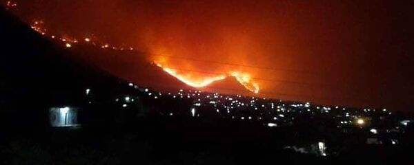  حرائق هائلة تجدد اشتعالها في غابات سوريا مقتربة من المناطق الآهلة - سبوتنيك عربي