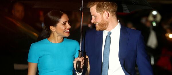 ميغان ماركل والأمير هاري - سبوتنيك عربي