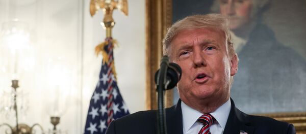 الرئيس الأمريكي، دونالد ترامب - سبوتنيك عربي