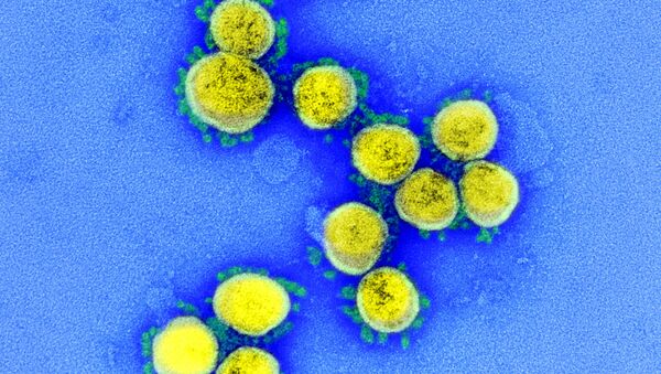 خلايا فيروس كورونا - سبوتنيك عربي