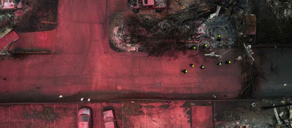 فريق الإنقاذ يتفقد ركام المنازل باحثين عن ناجين إثر حرائق الغابات في مدينة تالنت في ولاية أوريغون، الولايات المتحدة 13 سبتمبر 2020 - سبوتنيك عربي