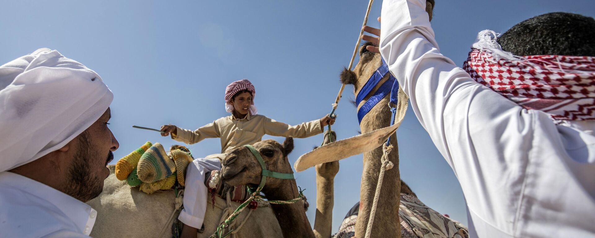 سباق الجمال في صحراء سيناء، جنوب مصر 12 سبتمبر 2020 - سبوتنيك عربي, 1920, 15.09.2020