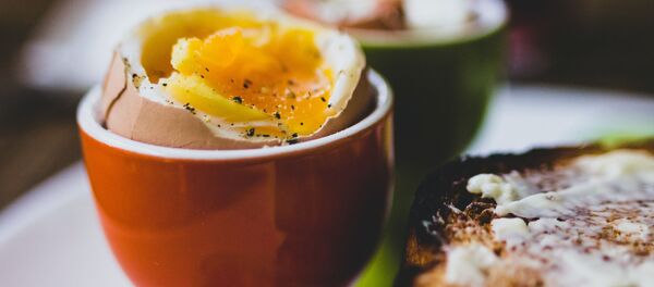 وجبة البيض - سبوتنيك عربي