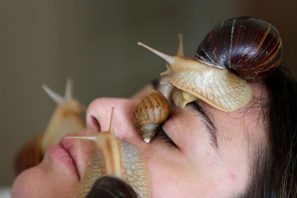 علياء فارس، 27 عاماً، خلال جلسة تدليك الوجه بواسطة الحلزونات البرية الأفريقية العملاقة، التي تعتبر مصدراً لتعزيز مادة الكولاجين في الجلد، في مركز تجميل في عمان، الأردن، 16 سبتمبر / أيلول 2020 - سبوتنيك عربي