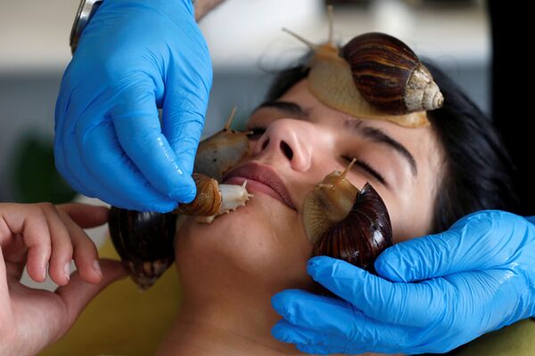 نورما رشية، 22 عاماً، خلال جلسة تدليك الوجه بواسطة الحلزونات البرية الأفريقية العملاقة، التي تعتبر مصدراً لتعزيز مادة الكولاجين في الجلد، في مركز تجميل في عمان، الأردن، 16 سبتمبر / أيلول 2020 - سبوتنيك عربي