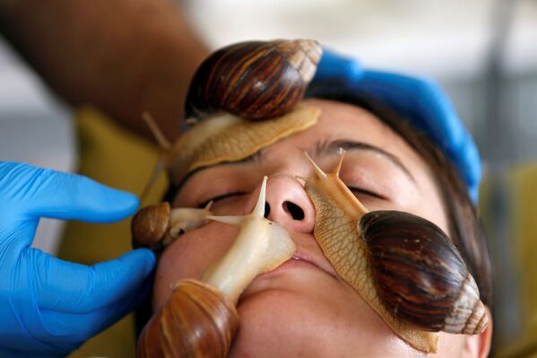 علياء فارس، 27 عاماً، خلال جلسة تدليك الوجه بواسطة الحلزونات البرية الأفريقية العملاقة، التي تعتبر مصدراً لتعزيز مادة الكولاجين في الجلد، في مركز تجميل في عمان، الأردن، 16 سبتمبر / أيلول 2020 - سبوتنيك عربي