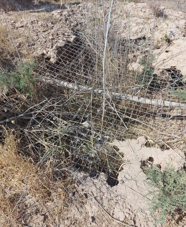 ضبط أوكار لـداعش في أبرز المدن العراقية المقدسة... صور - سبوتنيك عربي