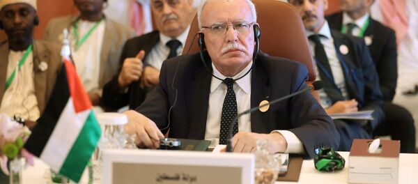 وزير الخارجية الفلسطيني رياض المالكي، صورة أرشيفية 2019 وزير الخارجية الفلسطيني رياض المالكي، صورة أرشيفية 2019 - سبوتنيك عربي