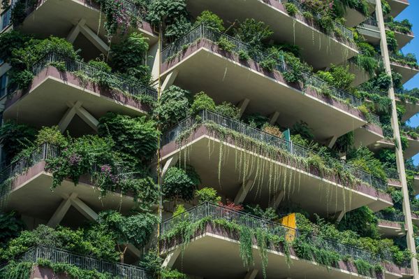 مشروع إسكان «حديقة غابات مدينة تشنغدو»، الصين 3 أغسطس/ آب 2020 مشروع إسكان «حديقة غابات مدينة تشنغدو»، الصين 3 أغسطس/ آب 2020 - سبوتنيك عربي