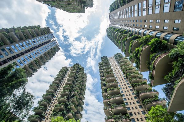 مشروع إسكان «حديقة غابات مدينة تشنغدو»، الصين 3 أغسطس/ آب 2020 مشروع إسكان «حديقة غابات مدينة تشنغدو»، الصين 3 أغسطس/ آب 2020 - سبوتنيك عربي
