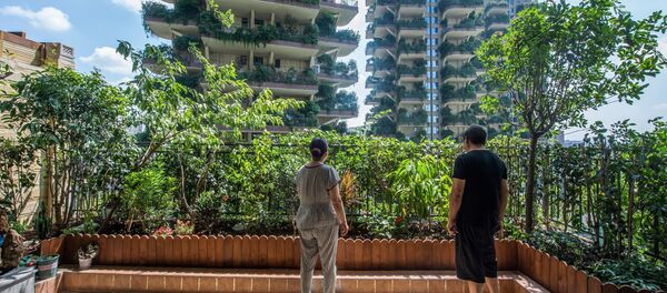 مشروع إسكان «حديقة غابات مدينة تشنغدو»، الصين 3 أغسطس/ آب 2020 مشروع إسكان «حديقة غابات مدينة تشنغدو»، الصين 3 أغسطس/ آب 2020 - سبوتنيك عربي