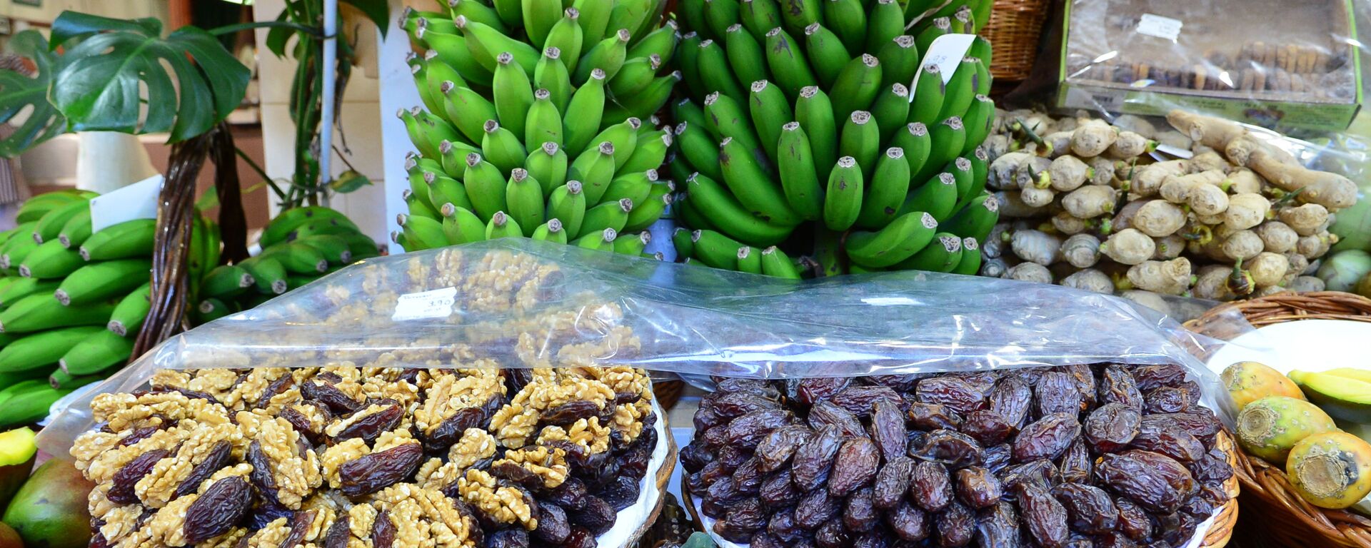 تمور المجهول - سبوتنيك عربي, 1920, 22.09.2020